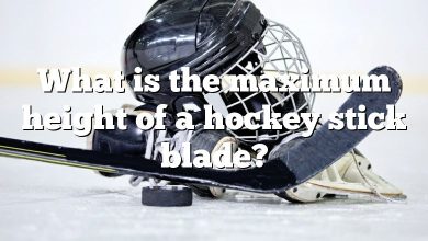 What is the maximum height of a hockey stick blade?