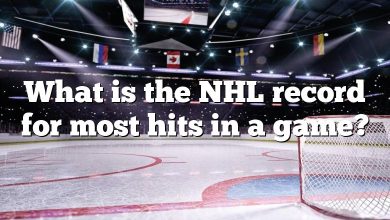 What is the NHL record for most hits in a game?