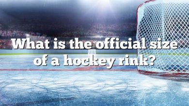 What is the official size of a hockey rink?