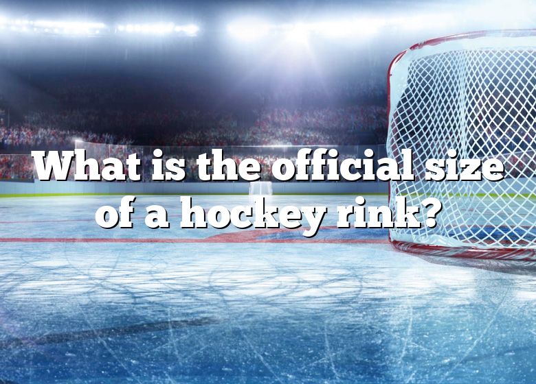 what-is-the-official-size-of-a-hockey-rink-dna-of-sports