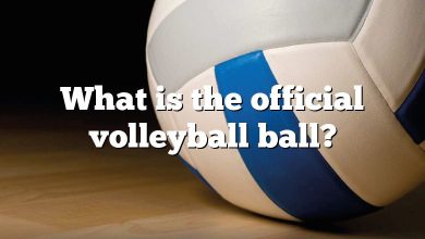 What is the official volleyball ball?