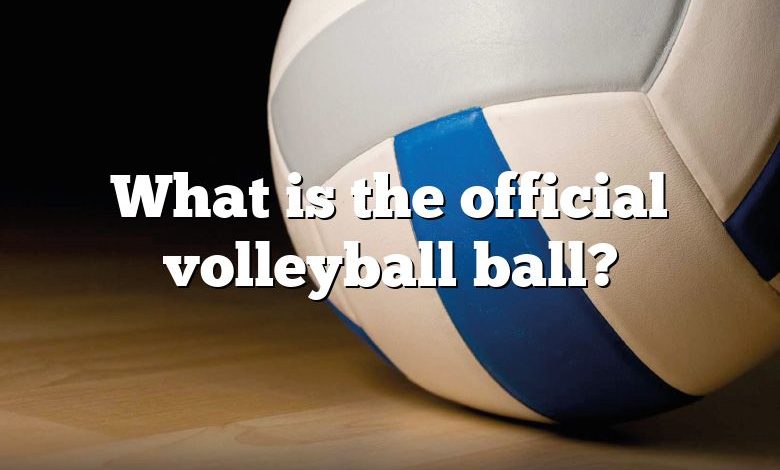 What is the official volleyball ball?