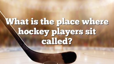 What is the place where hockey players sit called?