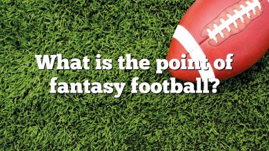 What is the point of fantasy football?