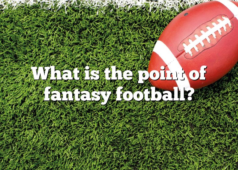 what-is-the-point-of-fantasy-football-dna-of-sports