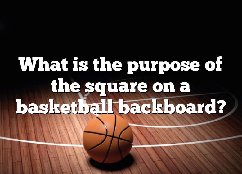 what-is-the-purpose-of-the-square-on-a-basketball-backboard-dna-of