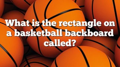 What is the rectangle on a basketball backboard called?