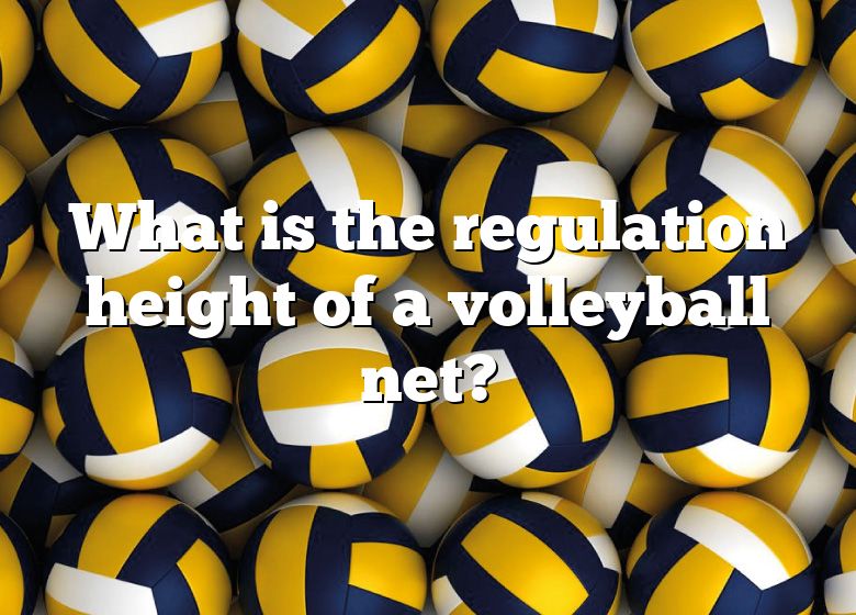 what-is-the-regulation-height-of-a-volleyball-net-dna-of-sports