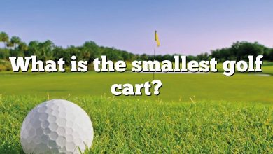 What is the smallest golf cart?