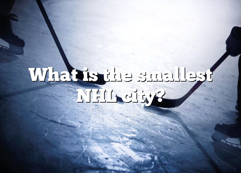 What Is The Smallest NHL City? DNA Of SPORTS