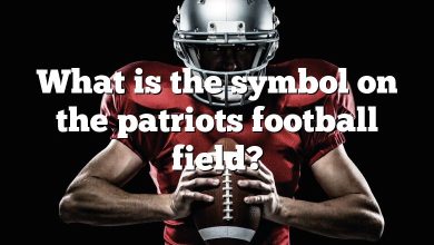 What is the symbol on the patriots football field?