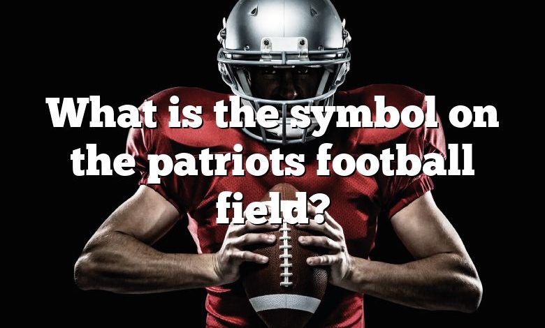 What is the symbol on the patriots football field?