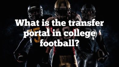 What is the transfer portal in college football?