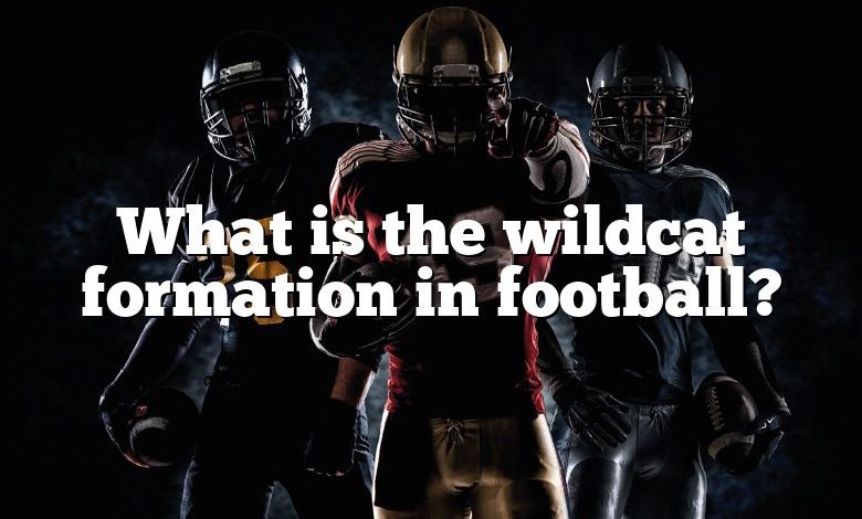 What is the wildcat formation in football?