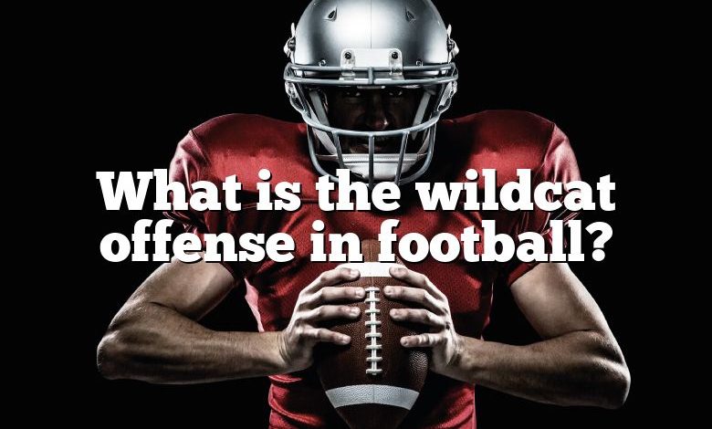 What is the wildcat offense in football?