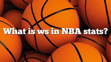 What is ws in NBA stats?