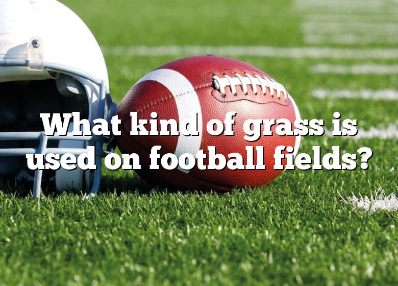 what-kind-of-grass-is-used-on-football-fields-dna-of-sports