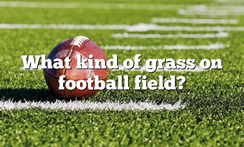 What kind of grass on football field?