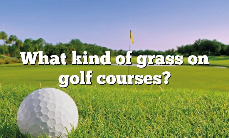 What kind of grass on golf courses?