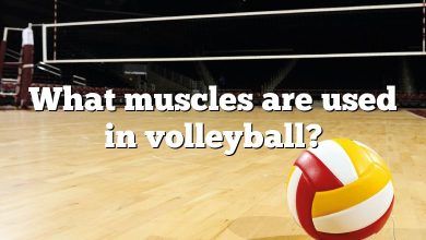 What muscles are used in volleyball?