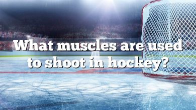 What muscles are used to shoot in hockey?