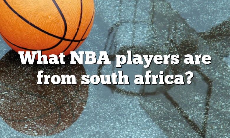 What NBA players are from south africa?