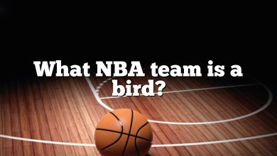 What NBA team is a bird?