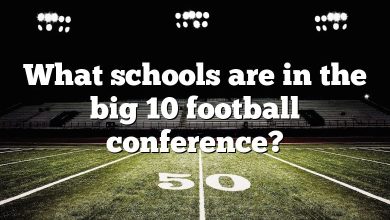 What schools are in the big 10 football conference?