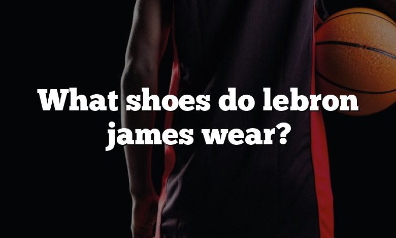 What shoes do lebron james wear?