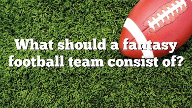 What should a fantasy football team consist of?