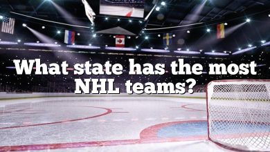 What state has the most NHL teams?