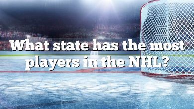 What state has the most players in the NHL?