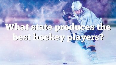 What state produces the best hockey players?