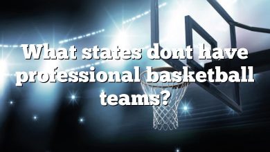 What states dont have professional basketball teams?