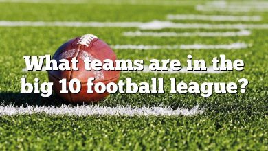 What teams are in the big 10 football league?