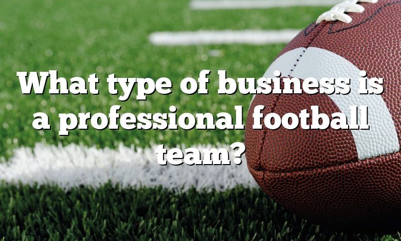 What type of business is a professional football team?