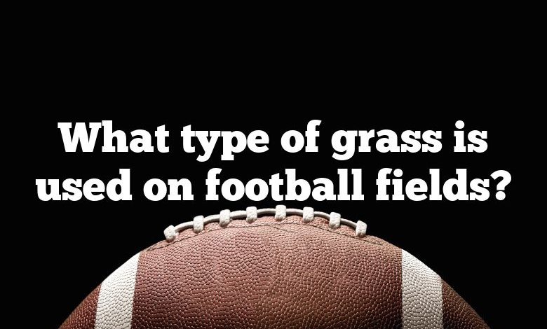 What type of grass is used on football fields?