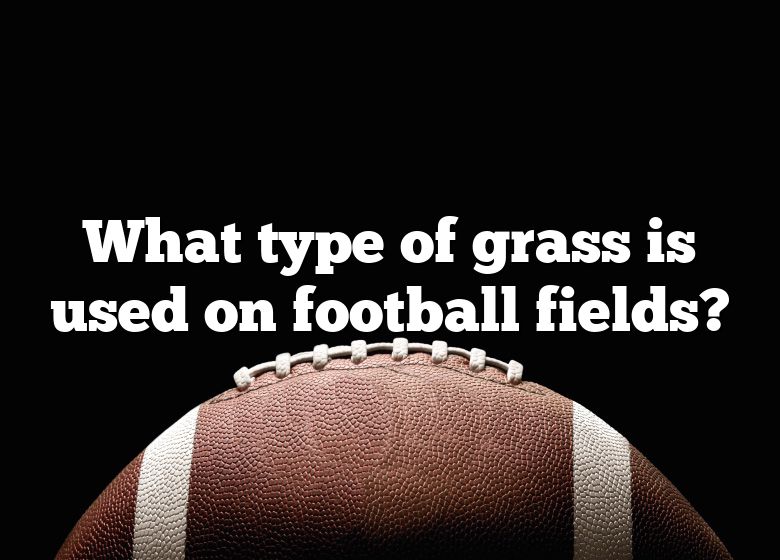 what-type-of-grass-is-used-on-football-fields-dna-of-sports