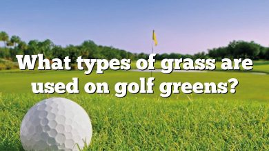 What types of grass are used on golf greens?