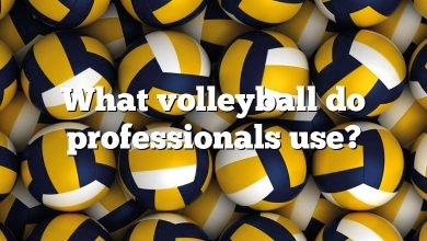 What volleyball do professionals use?