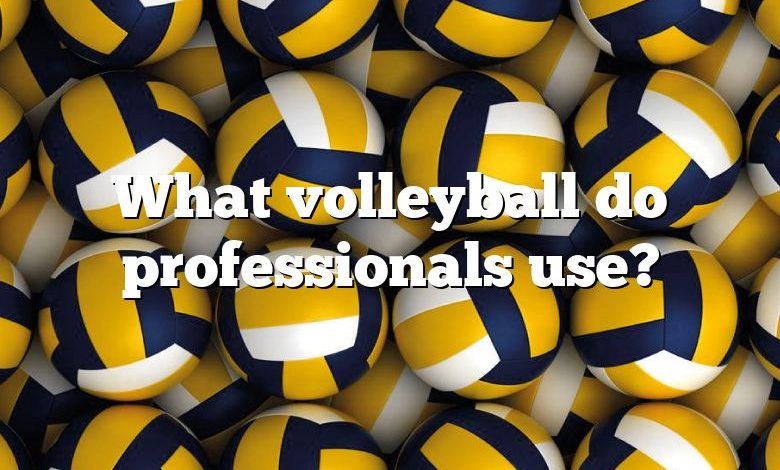 What volleyball do professionals use?