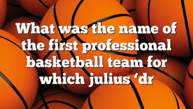 What was the name of the first professional basketball team for which julius ‘dr