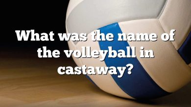 What was the name of the volleyball in castaway?