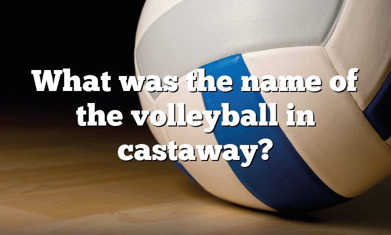 What was the name of the volleyball in castaway?