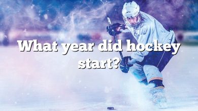 What year did hockey start?