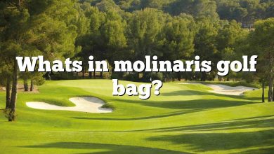 Whats in molinaris golf bag?