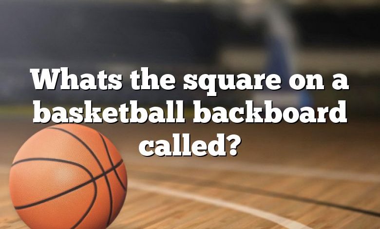 Whats the square on a basketball backboard called?