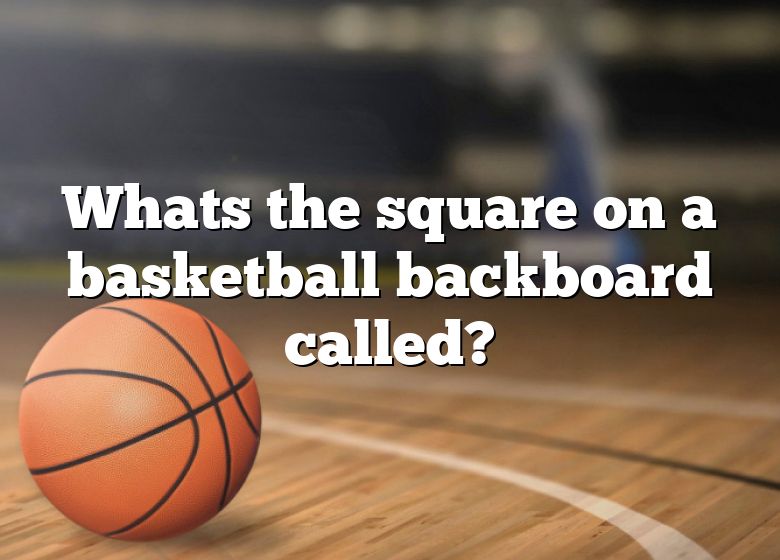 whats-the-square-on-a-basketball-backboard-called-dna-of-sports