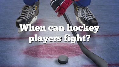 When can hockey players fight?