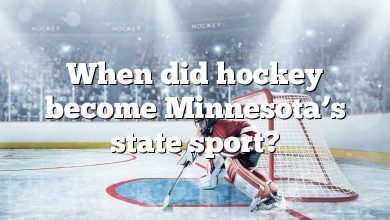 When did hockey become Minnesota’s state sport?